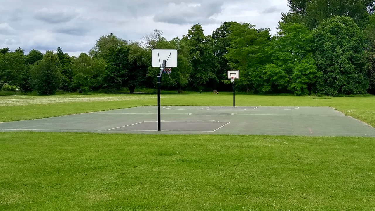 Campo da basket all’aperto circondato da alberi
